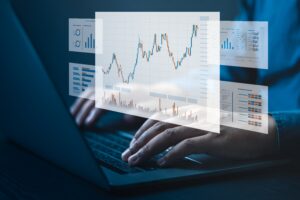 net revenue net sales