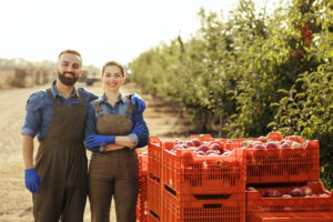 mca for seasonal businesses